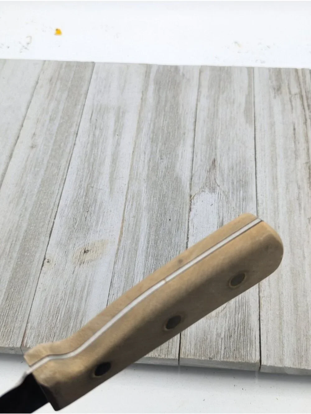 Chicago Cutlery features brand
